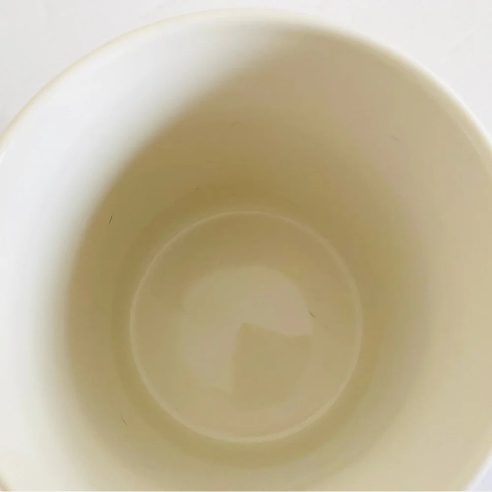 Home Essentials Mug 
